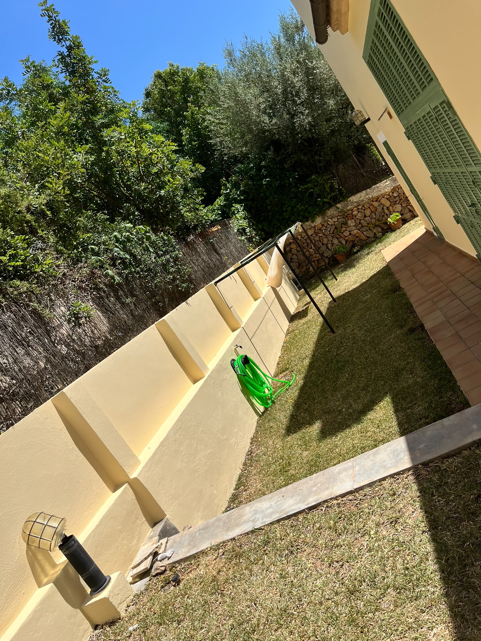 Jardín y muro exterior pintado